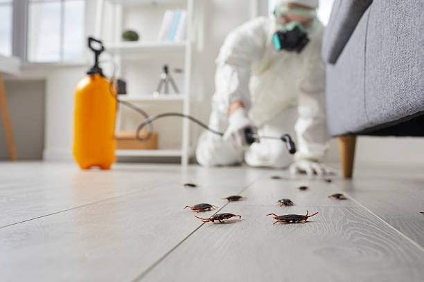 Trusted Cockroach Control service in Maugansville, MD - Nex Pest Control