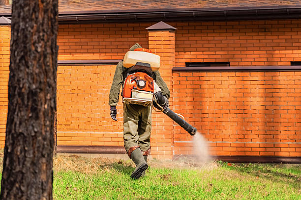 Trusted Bed Bug Control service in Maugansville, MD - Nex Pest Control